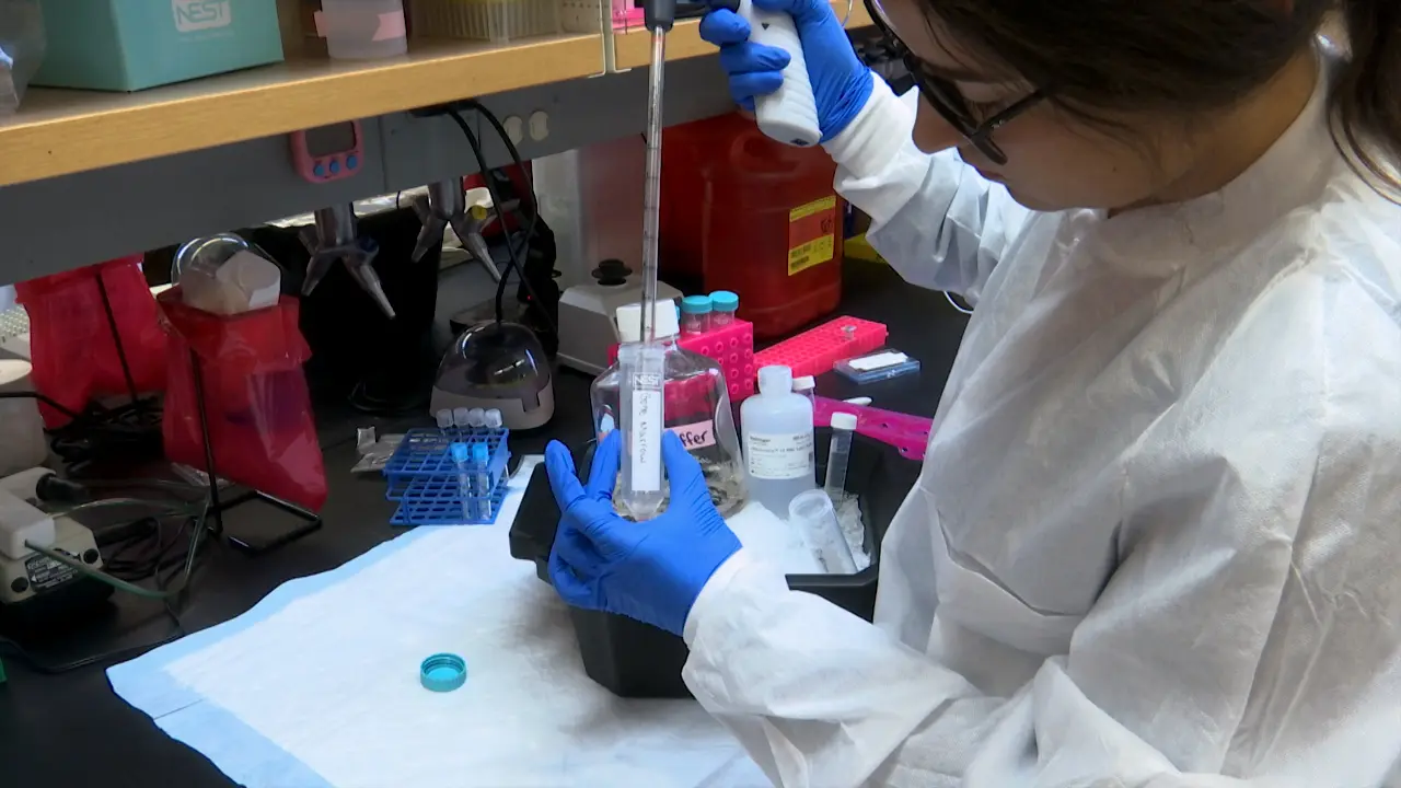 Identifying Bone Marrow Microenvironmental Populations in Myelodysplastic Syndrome and Acute Myeloid Leukemia