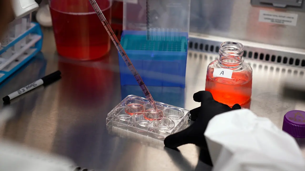 Differentiation of Enteric Nervous System Lineages from Human Pluripotent Stem Cells