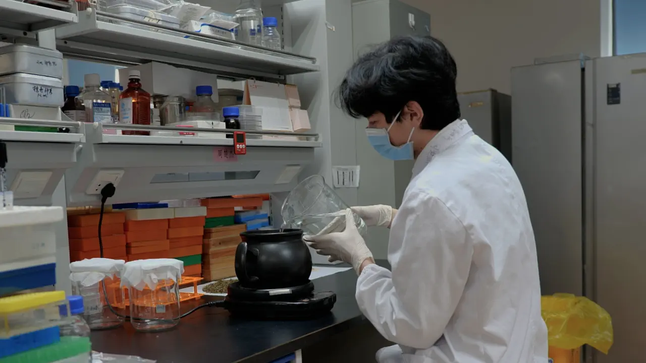 Gavage Strategy for Decoction Formula of Traditional Chinese Medicine in Osteosarcoma Model Mice