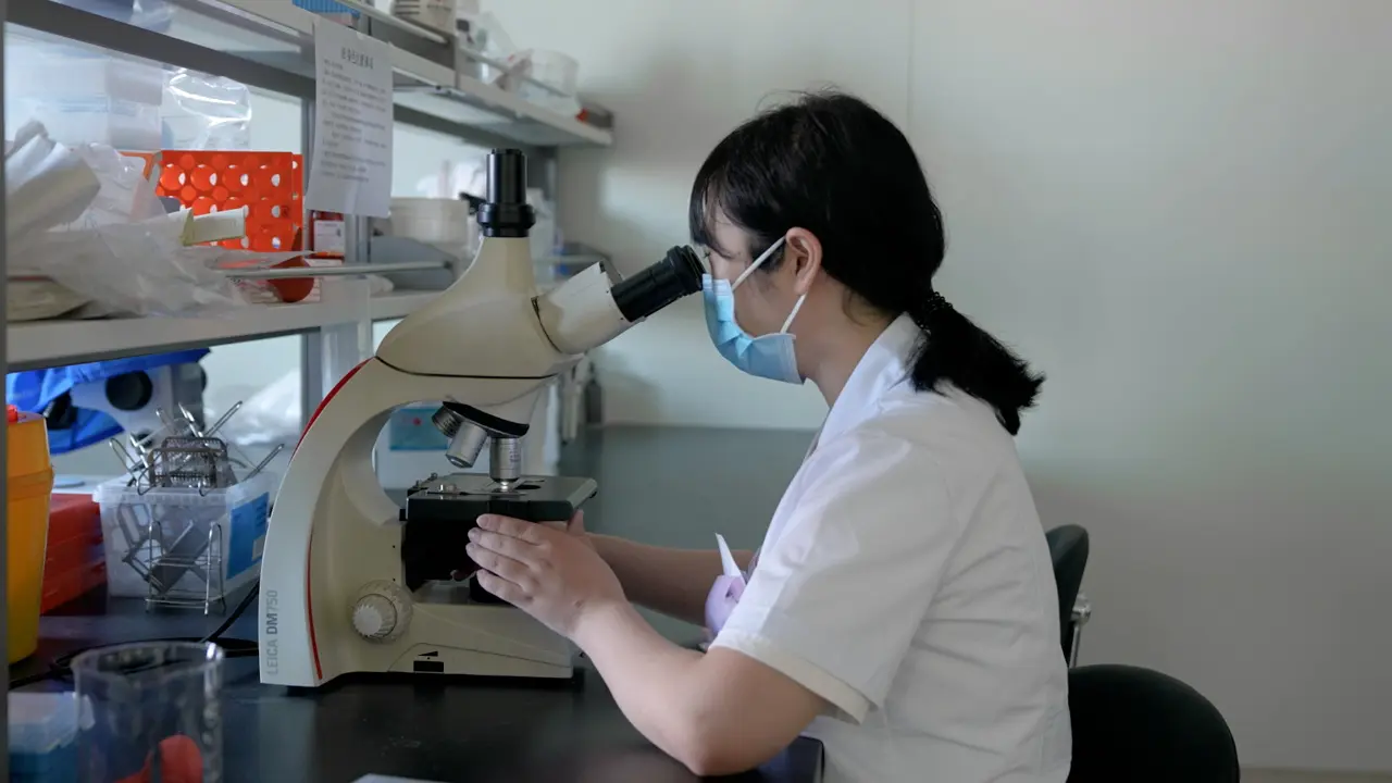 Antagonistic Effect of Jiawei Shengjiang San on a Rat Model of Diabetic Nephropathy: Related to EGFR/MAPK3/1 Signaling Pathway