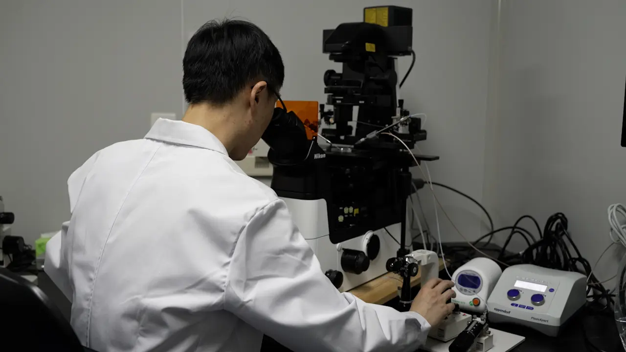 Monitoring Blood Glucose in Mouse Offspring After Intracytoplasmic Sperm Injection