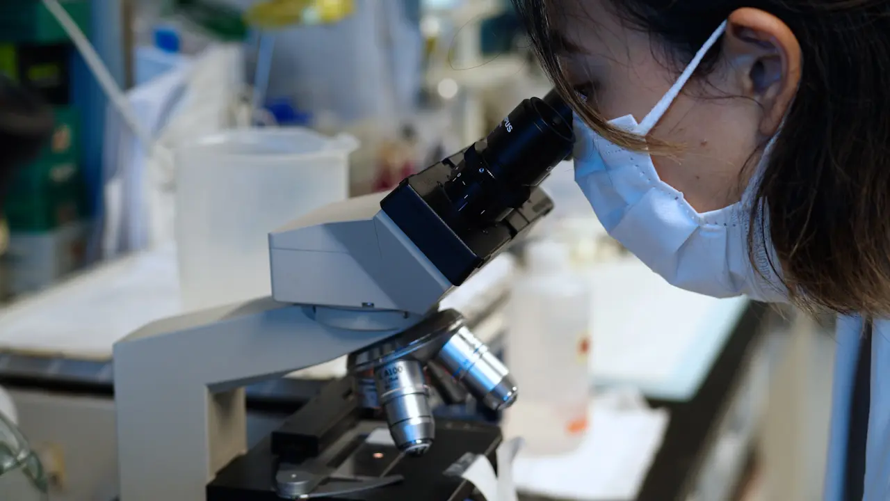 Establishment of an Experimental Mouse Model of Endometrioma to Study its Related Infertility