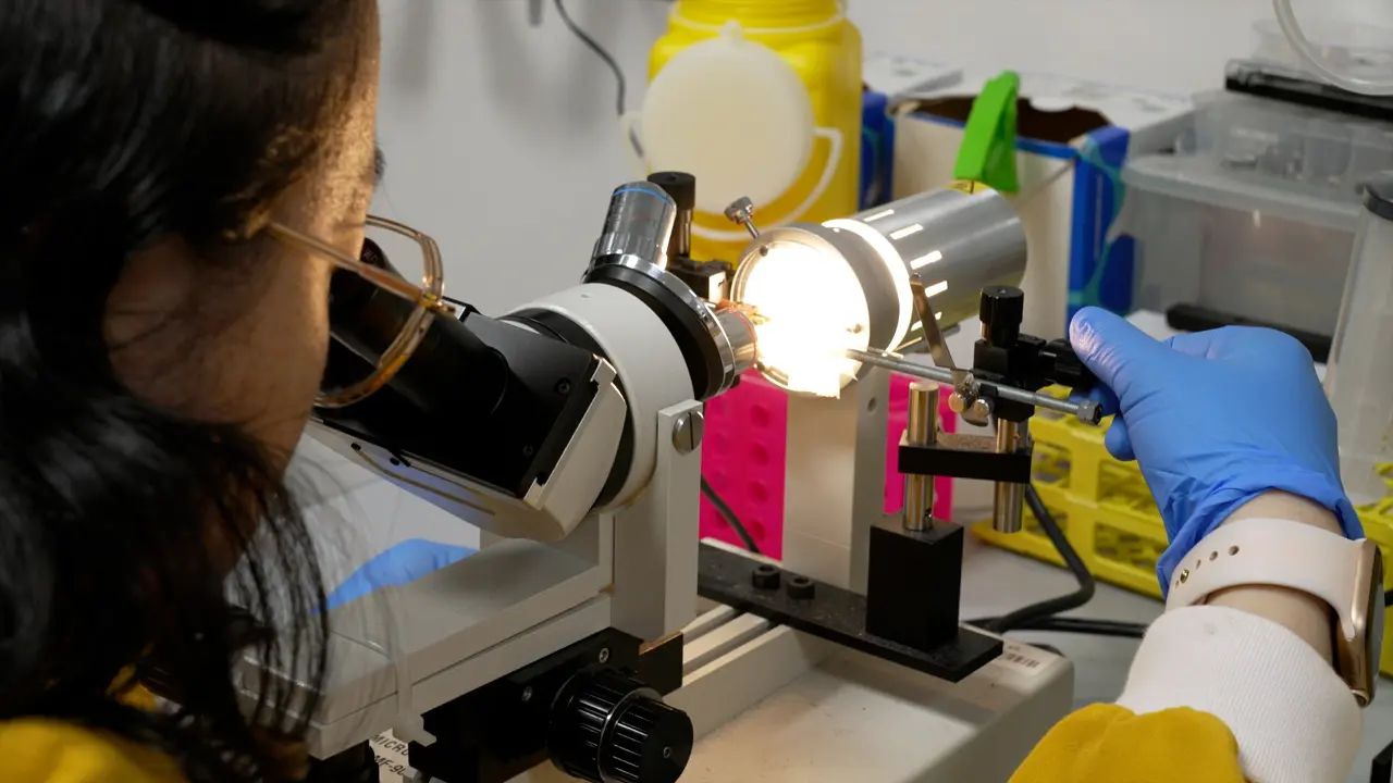 Fluorescence Micropipette Aspiration Assay to Investigate Red Blood Cell Mechanosensing