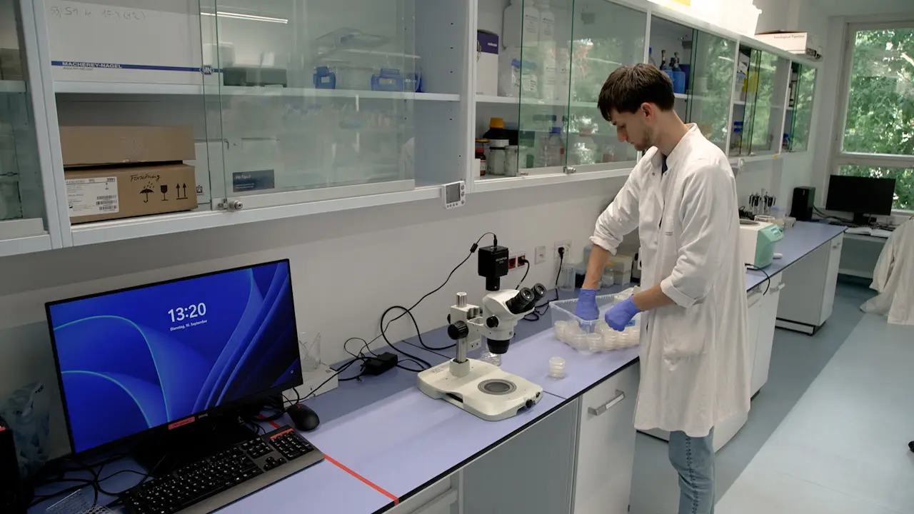 Measuring Associative Learning in Chemotaxis of the Nematode <em>Caenorhabditis elegans</em>