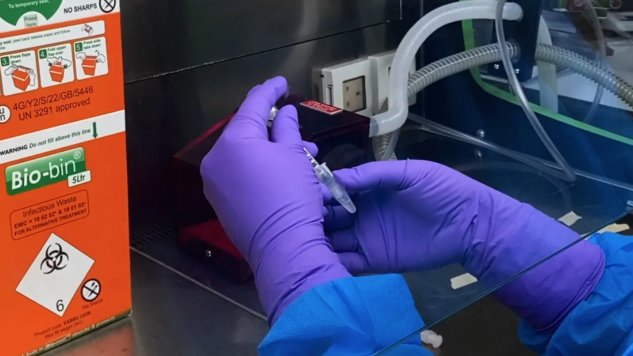 Intrafemoral Injection of Human Hematopoietic Stem and Progenitor Cells into Immunocompromised Mice