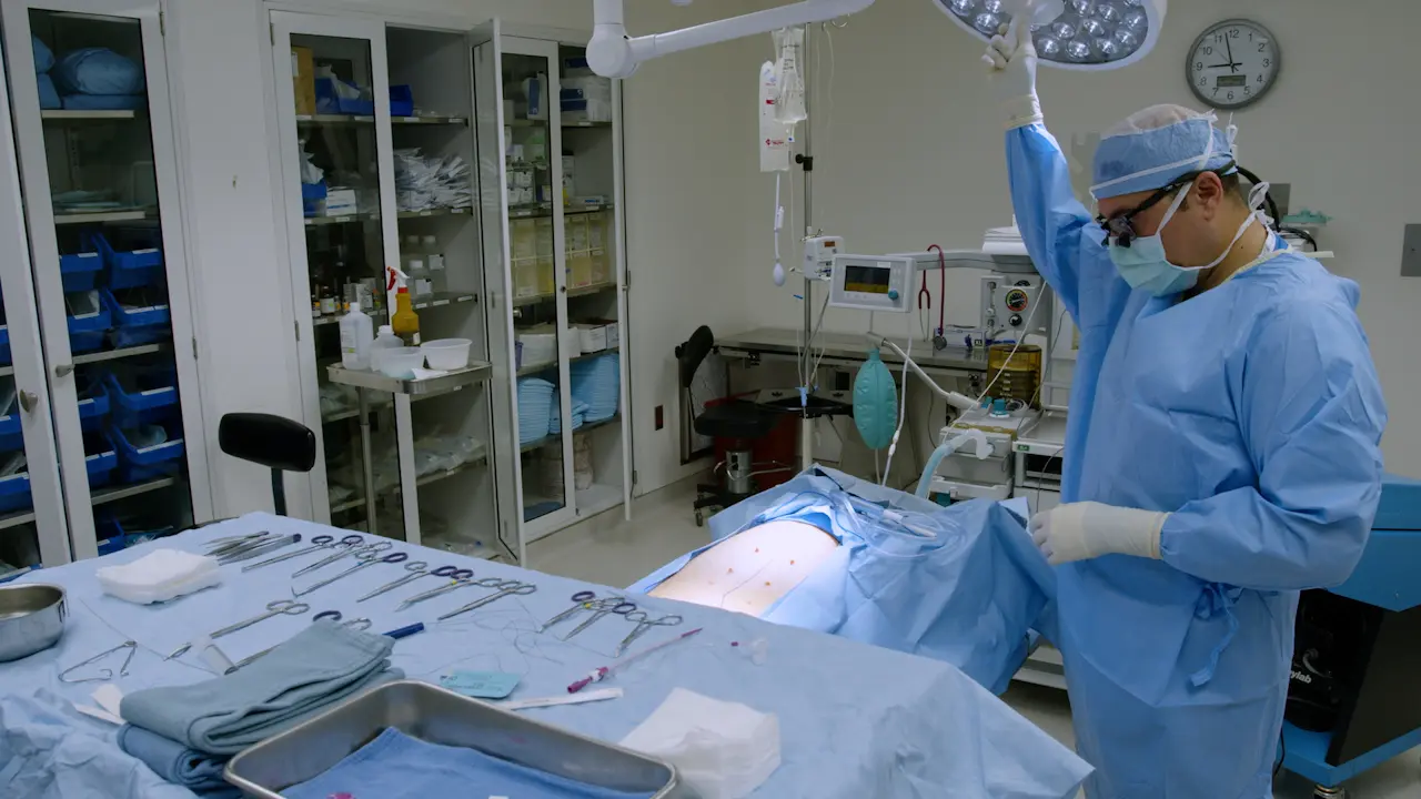 Surgical Perfusion and Isolation of the Porcine Pancreas for Islet Isolation