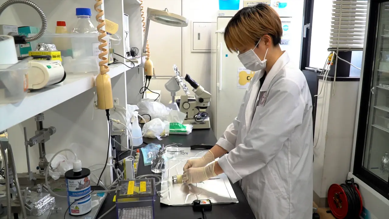 Analysis of Electrocardiograms and Behavior in Mice from Pregnancy to Lactation Period