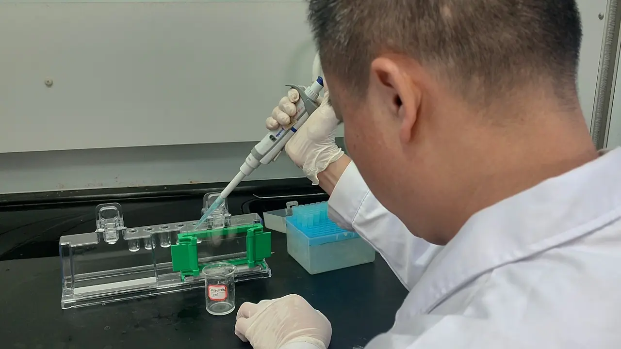 Rapid Separation and Display of Active Fibrinogenolytic Agents in <i>Sipunculus nudus</i> through Fibrinogen-Polyacrylamide Gel Electrophoresis
