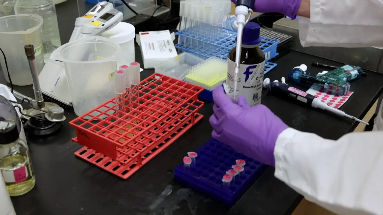 Synthesis and Assay of <i>Vibrio</i> Quorum Sensing Inhibitors