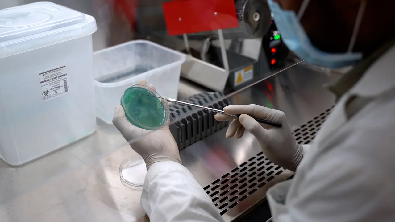 Direct Microbial Identification using An Automated Microbial Identification System to Facilitate the EUCAST RAST Method Without Mass Spectrometry