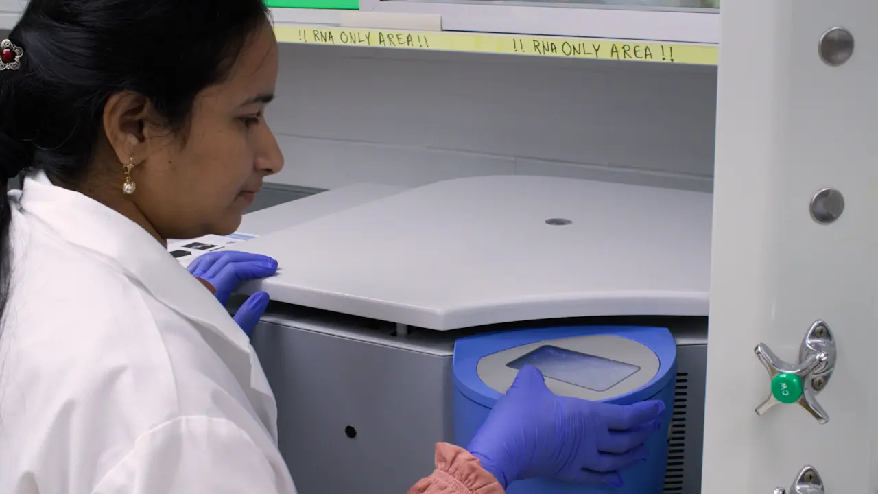 Neonatal Mouse Bone Marrow Isolation and Preparation of Bone Marrow-Derived Macrophages