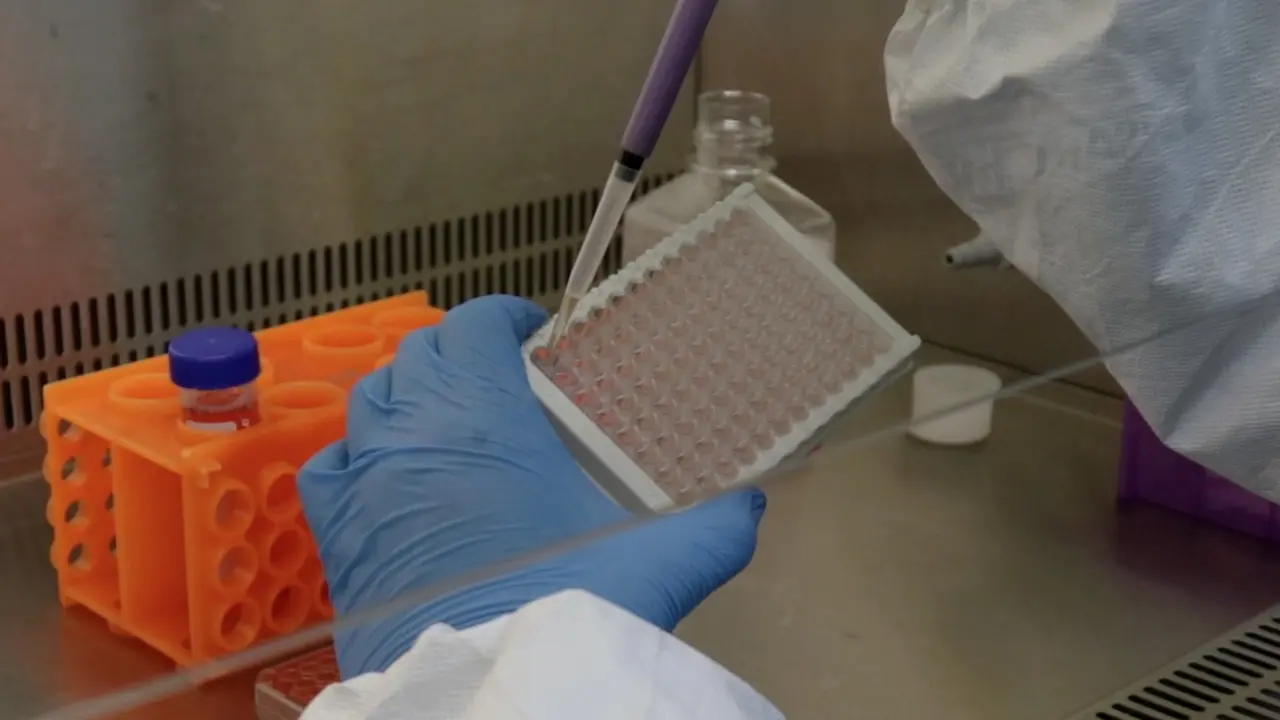 Three-Dimensional Cell Culture of Adipose-Derived Stem Cells in a Hydrogel with Photobiomodulation Augmentation