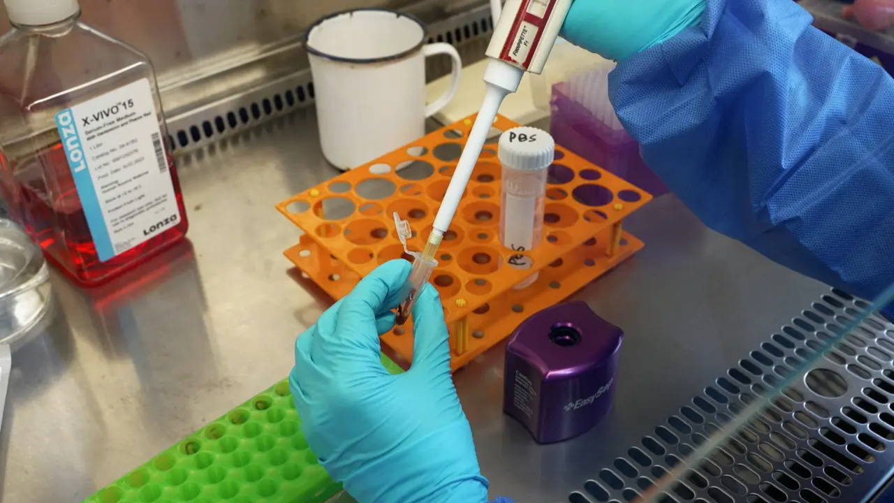 Generation and Functional Verification of Hypoxia-Sensitive Chimeric Antigen Receptor-T Cells