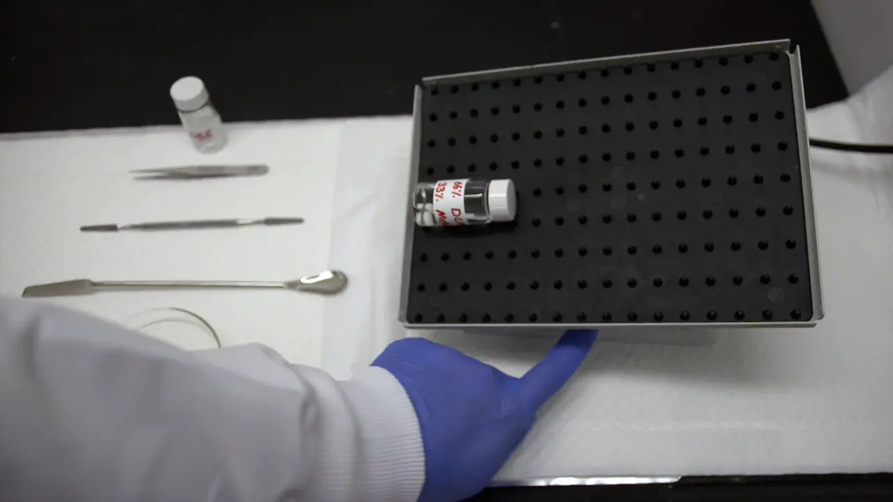 Light-Sheet Imaging to Reveal Cardiac Structure in Rodent Hearts