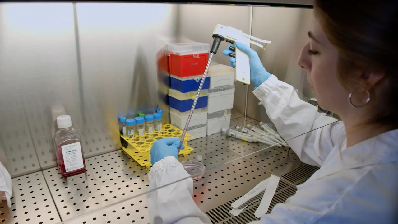 Co-Culture In Vitro Systems to Reproduce the Cancer-Immunity Cycle