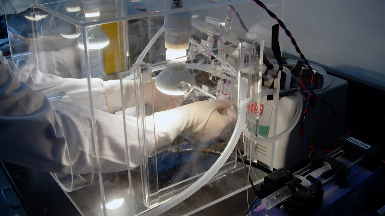 Assessing Insulin Clearance in Mice via In Situ Liver Perfusion