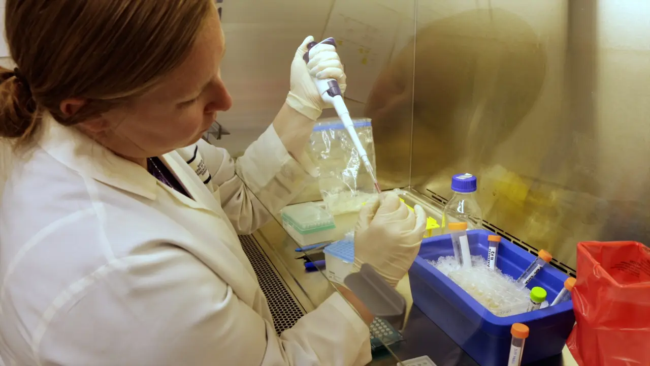 Using Human Intestinal Organoids to Understand the Small Intestine Epithelium at the Single Cell Transcriptional Level