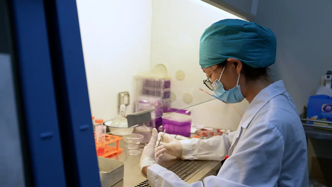Technique for Isolation and Culture of Rat Jaw Bone Marrow Mesenchymal Stem Cells
