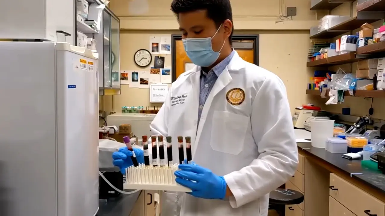 Isolation and Cryopreservation of Highly Viable Human Peripheral Blood Mononuclear Cells From Whole Blood: A Guide for Beginners
