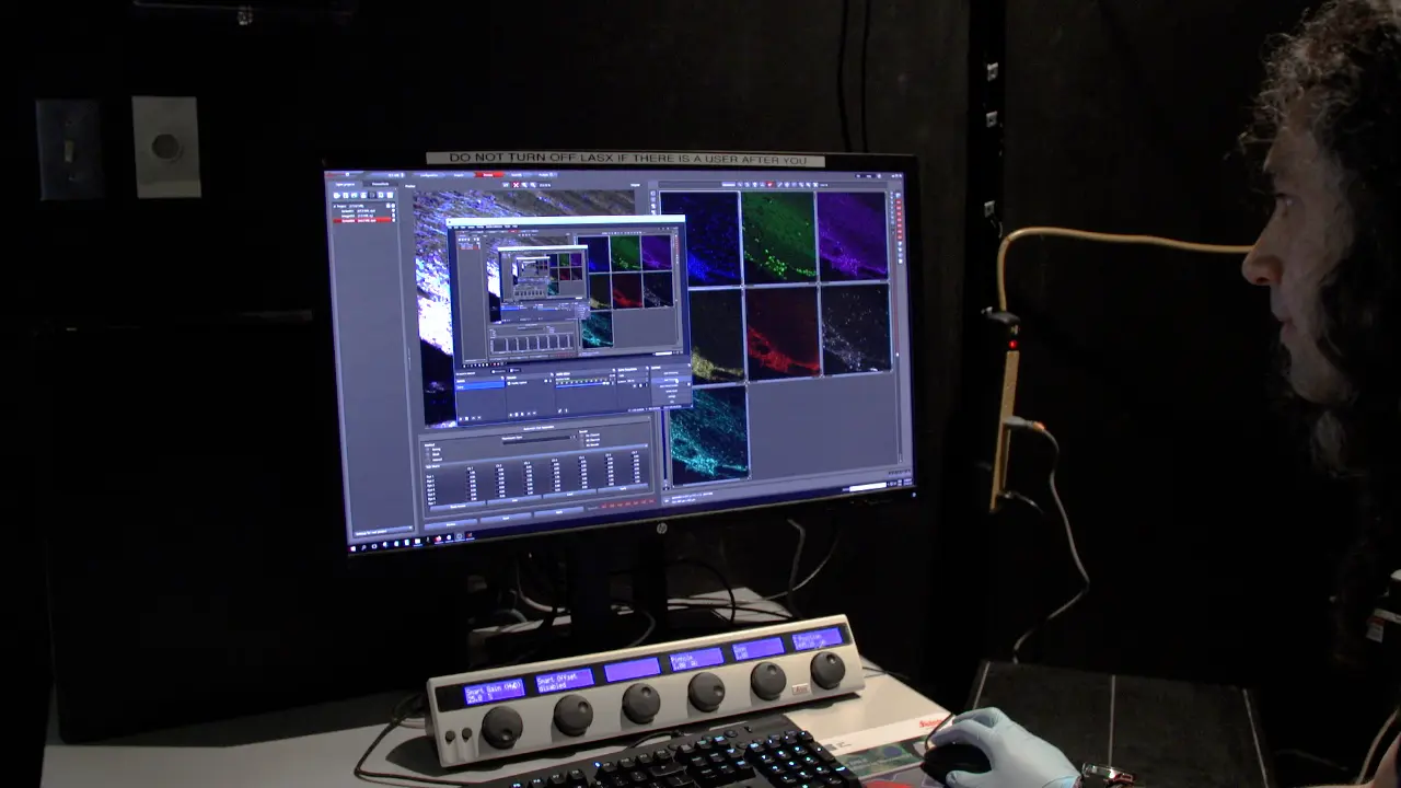 Generating and Analyzing High-Parameter Histology Images with Histoflow Cytometry