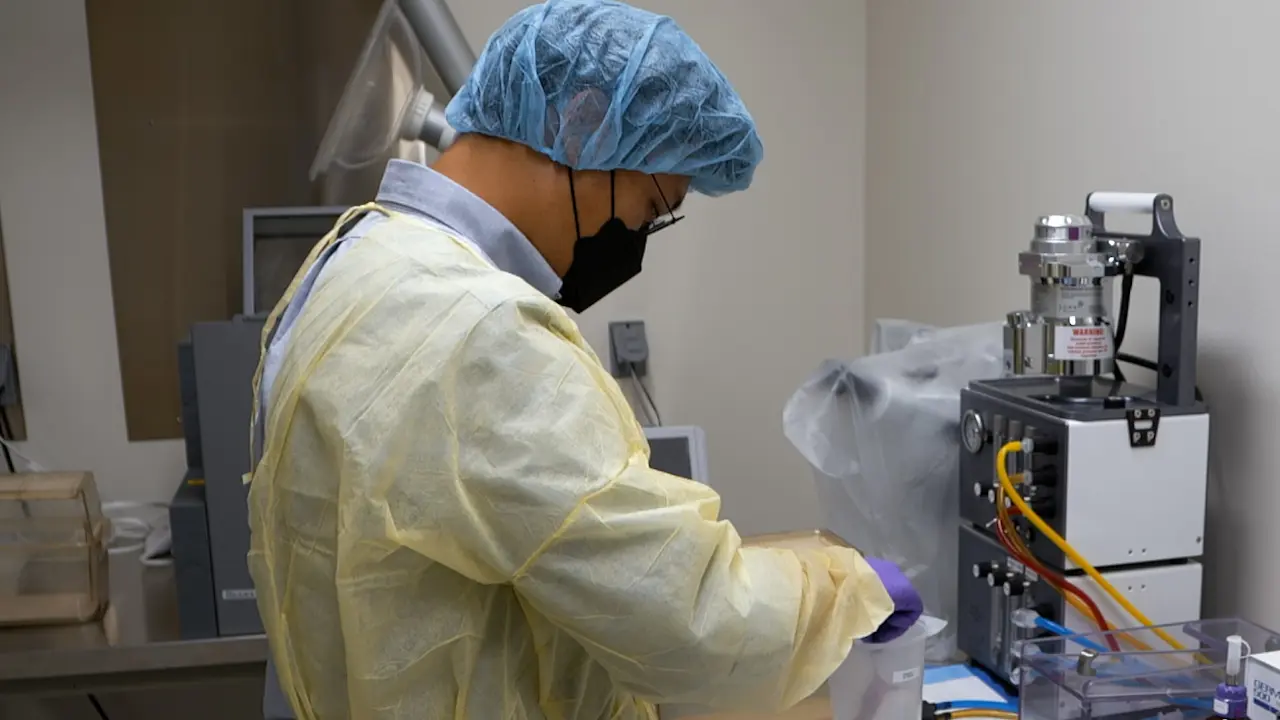 Nanoparticle Delivery of an Oligonucleotide Payload in a Glioblastoma Multiforme Animal Model