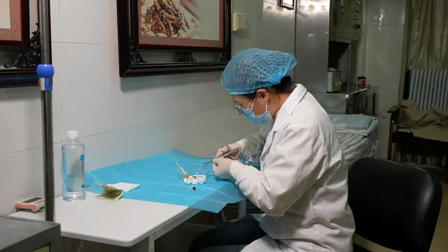 Acupoint Catgut Embedding Therapy in Traditional Chinese Medicine for Managing Allergic Rhinitis