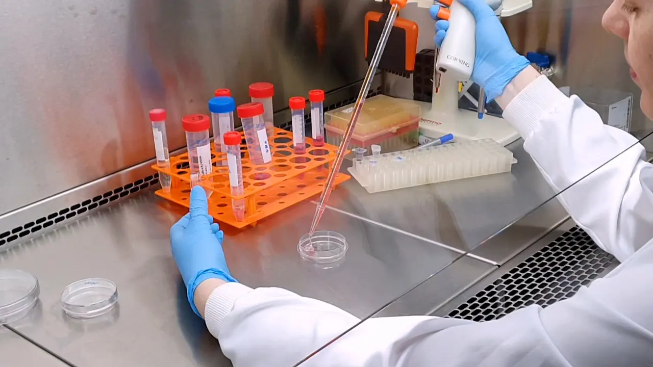 Proximity Ligand Assay to Localize Proteins in DNA Damage Sites