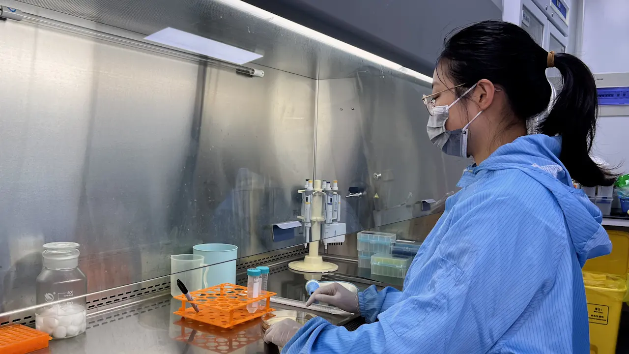 Fabrication and Characterization of Microneedle Patches for Loading and Delivery of Exosomes