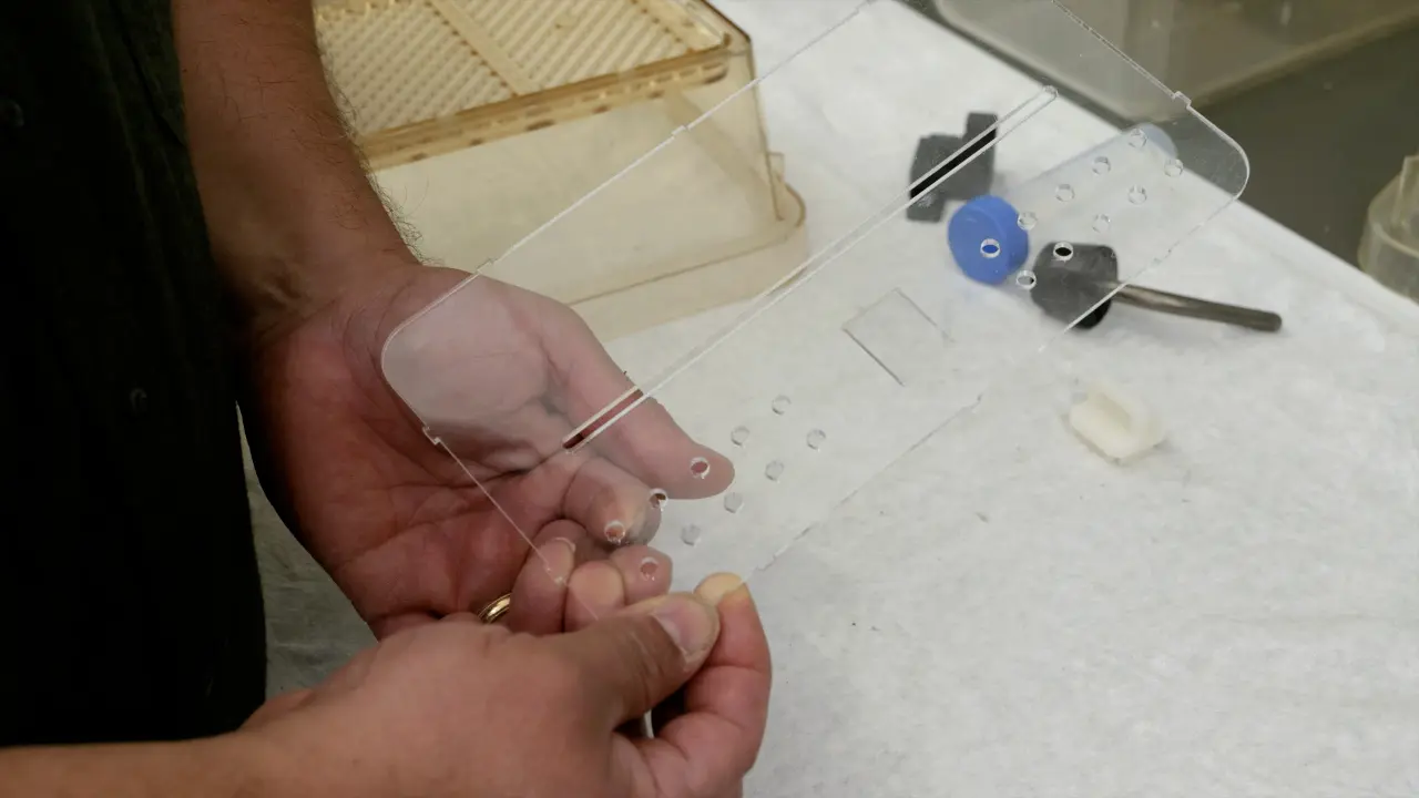 A Do-it-yourself System for Scheduled Feeding of Laboratory Rodents in Their Home Cage