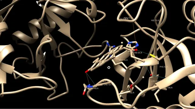 Structure-Guided Design and Development of Novel Cyclophilin A Inhibitors and Ganoderiol-F Derivatives: An <em>In-Silico</em> Approach