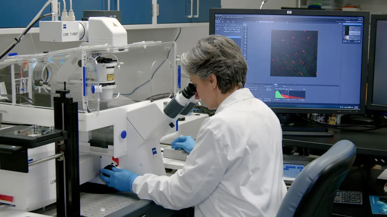 Identification of EcoHIV-Infected Cells in Microglia-Manipulated Transgenic Mice