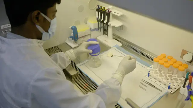 Isolation of Chondrocytes and Chondroprogenitors Using Fibronectin Adhesion and Migratory Assay