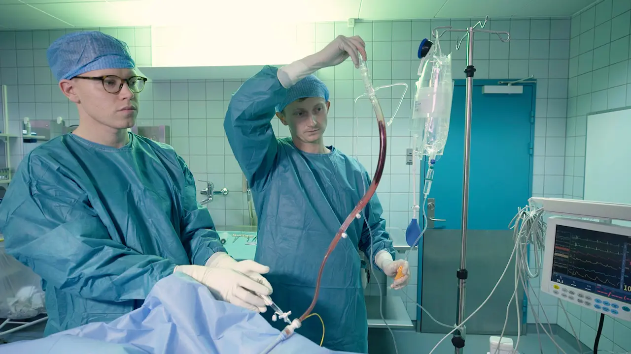 A Porcine Model of Acute Autologous Pulmonary Embolism