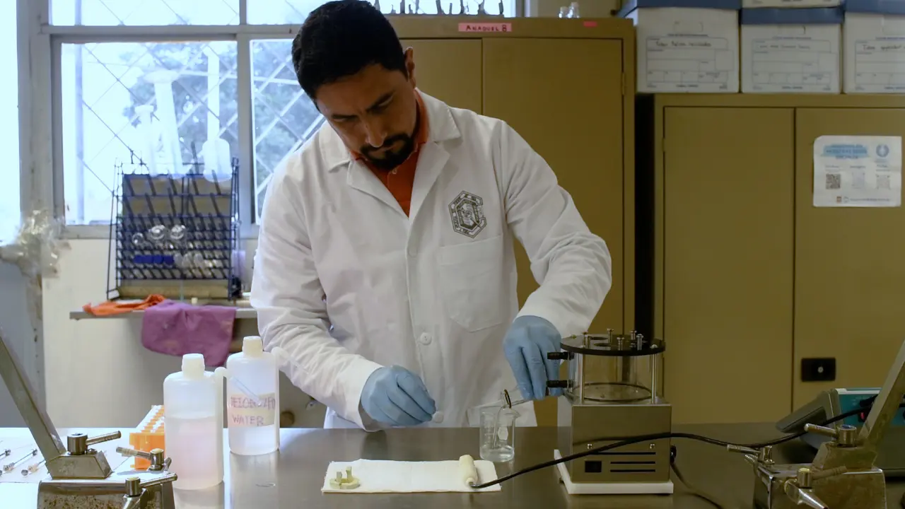 Mitochondrial Respiration Quantification in Yeast Whole Cells