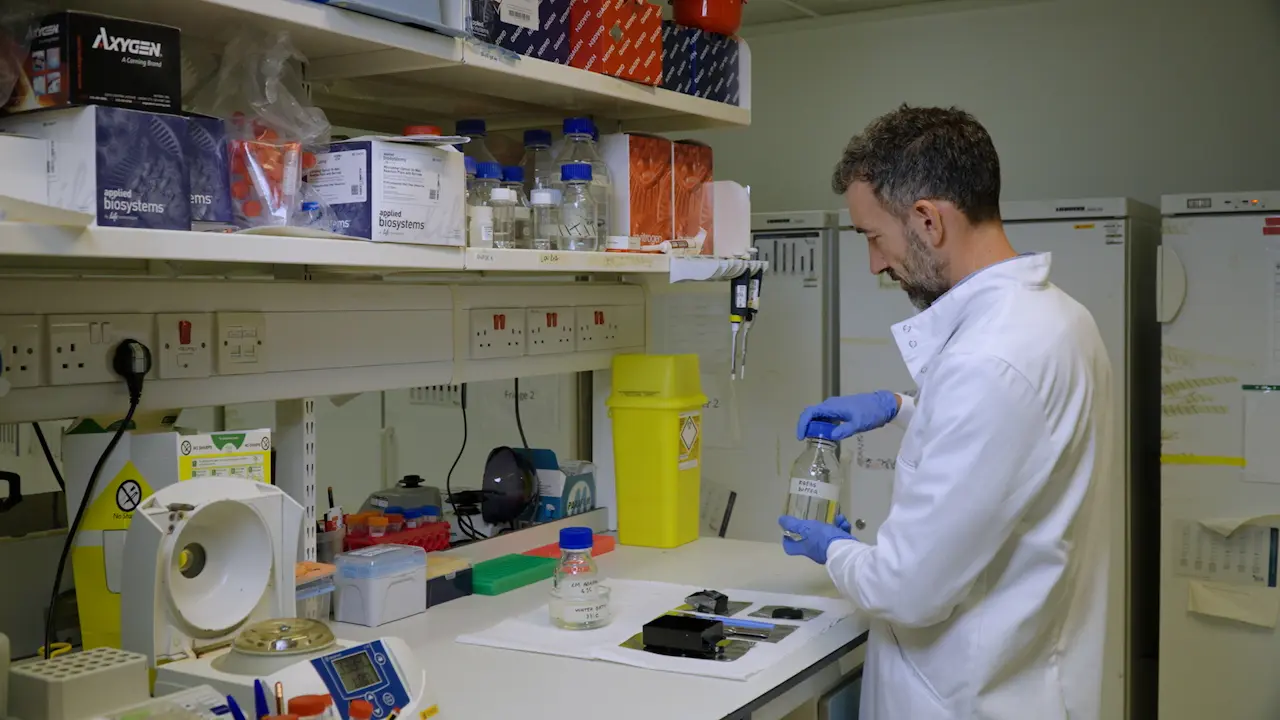 Optimized and Simplified Technique for the Production and Culture of Precision-Cut Liver Slices