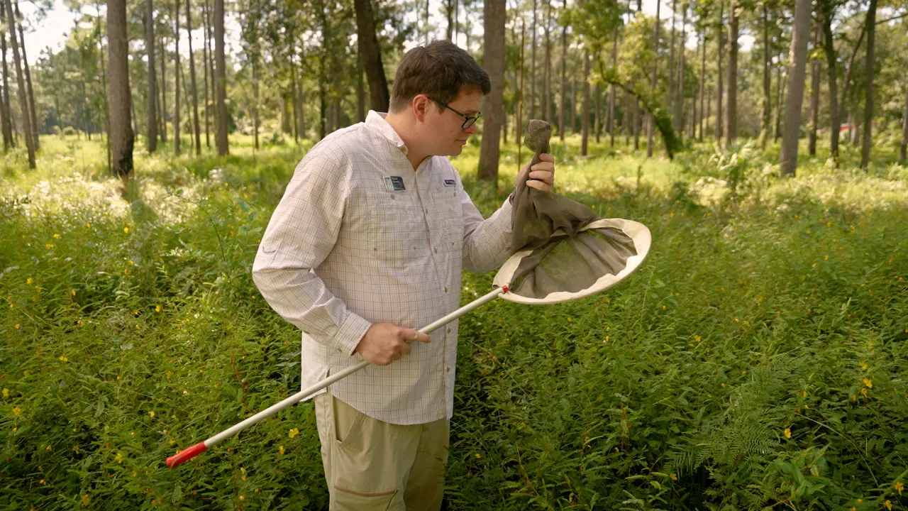 A Rapid Method to Confine and Safely Handle Bees in the Field
