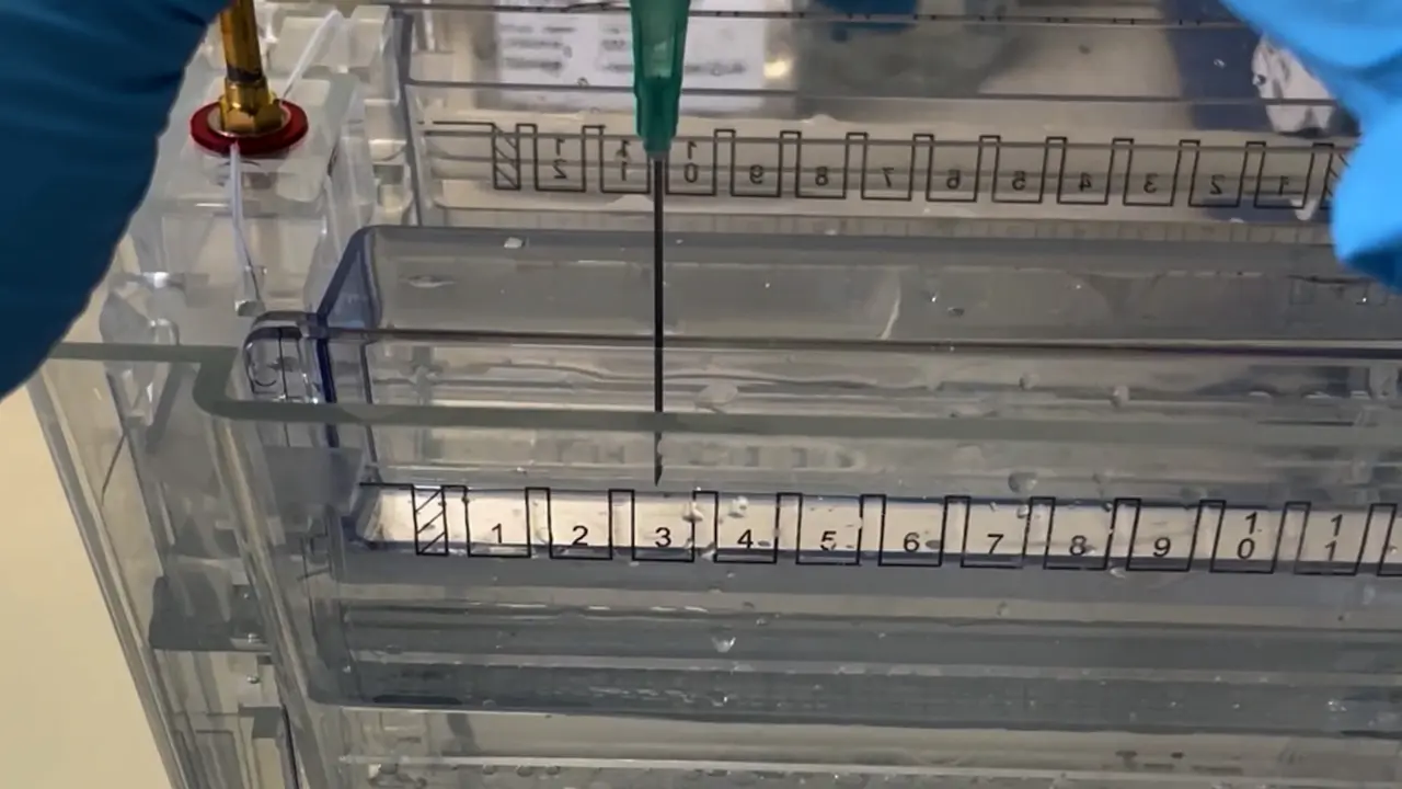 Unveiling Histone Proteoforms using 2D-TAU Gel Electrophoresis