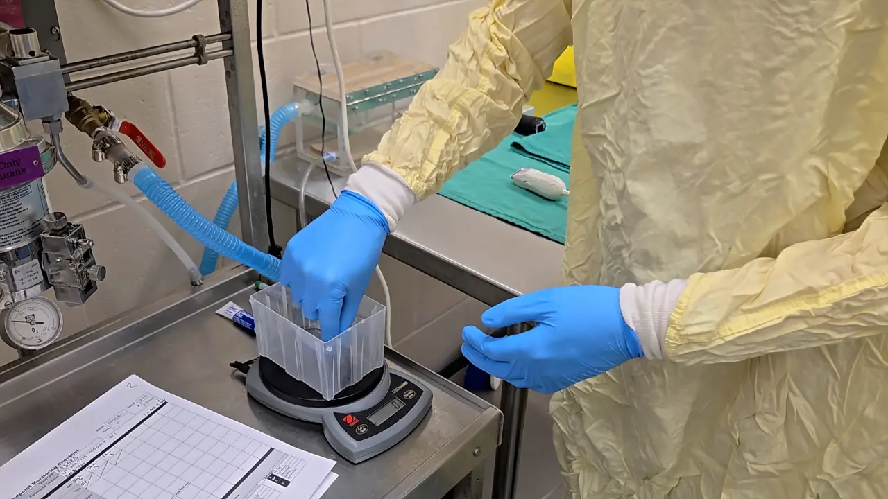 An Immunocompetent Murine Model for Laser Interstitial Thermal Therapy of Glioblastoma