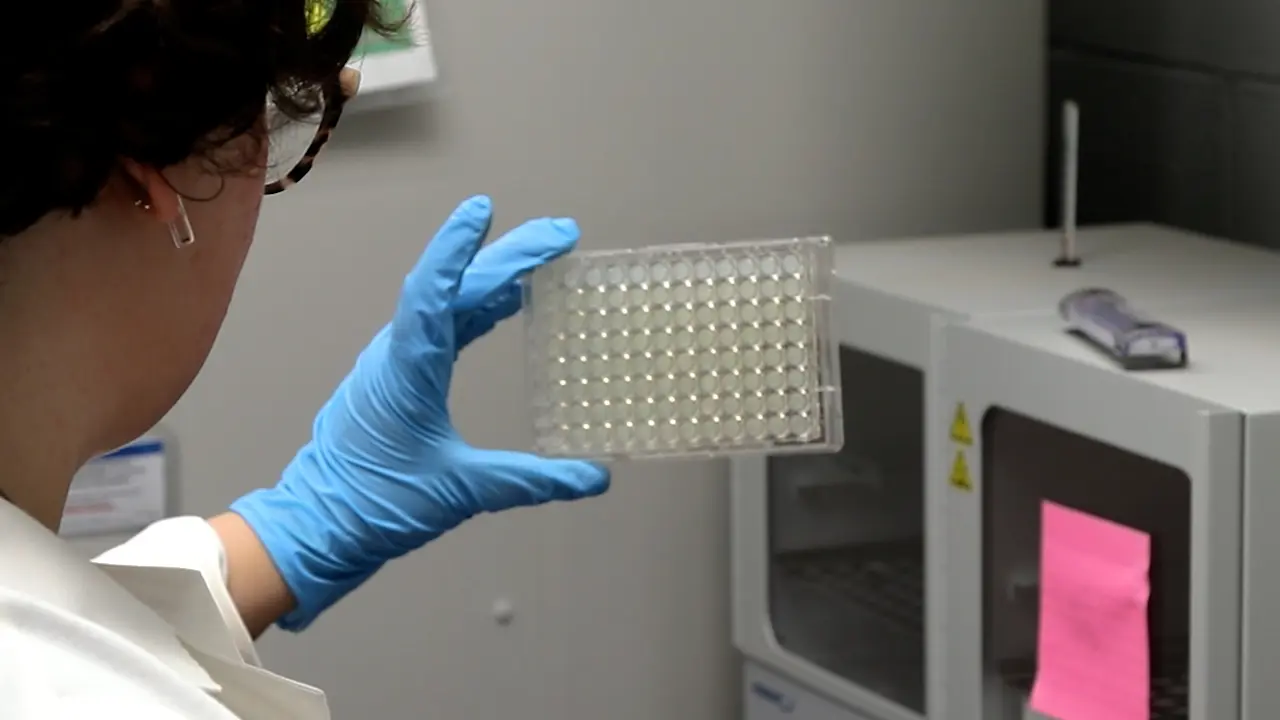 Isolation of Soil Microorganisms Using iChip Technology