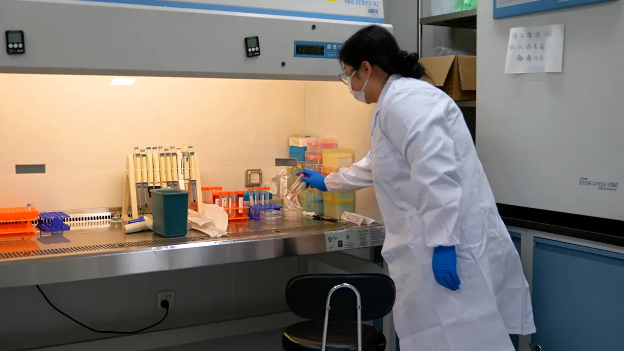 Evaluation of Abnormal Growth-related Genes of Hematopoietic Stem and Progenitor Cells by Combining CRISPR/Cas9 Technology with Cell Counting