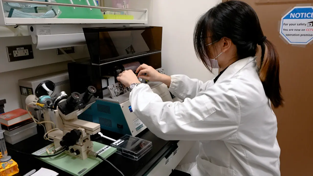 Patch-Clamp Techniques for Single Endolysosomal Vesicle Analysis