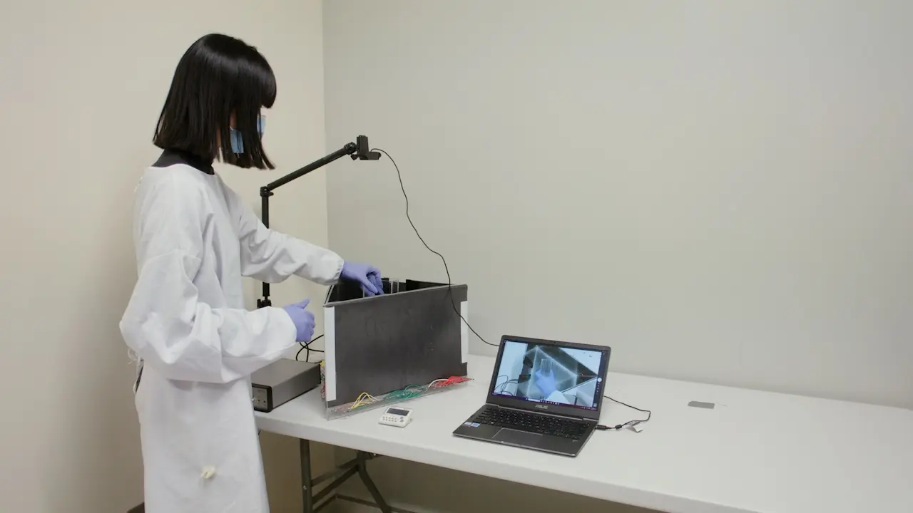 Behavioral Tasks for Examining Identity Recognition In Mice