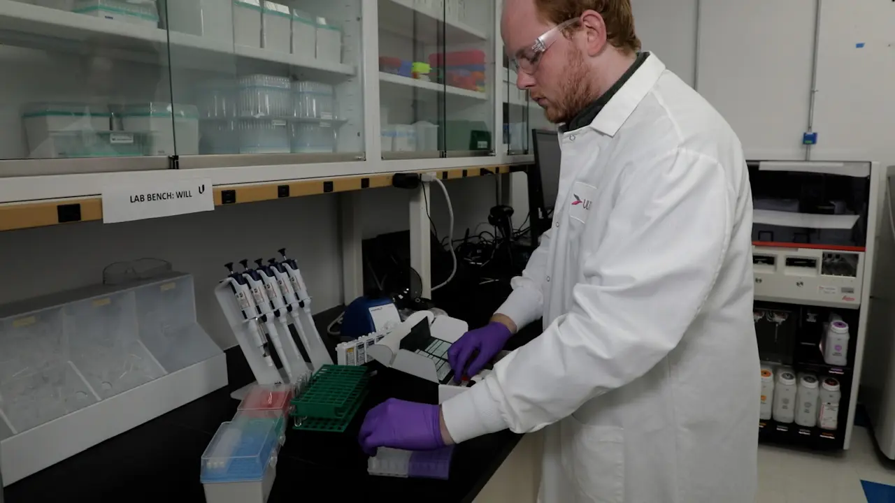 High-Throughput Automated Multiplex Immunofluorescence Assays for Translational Research