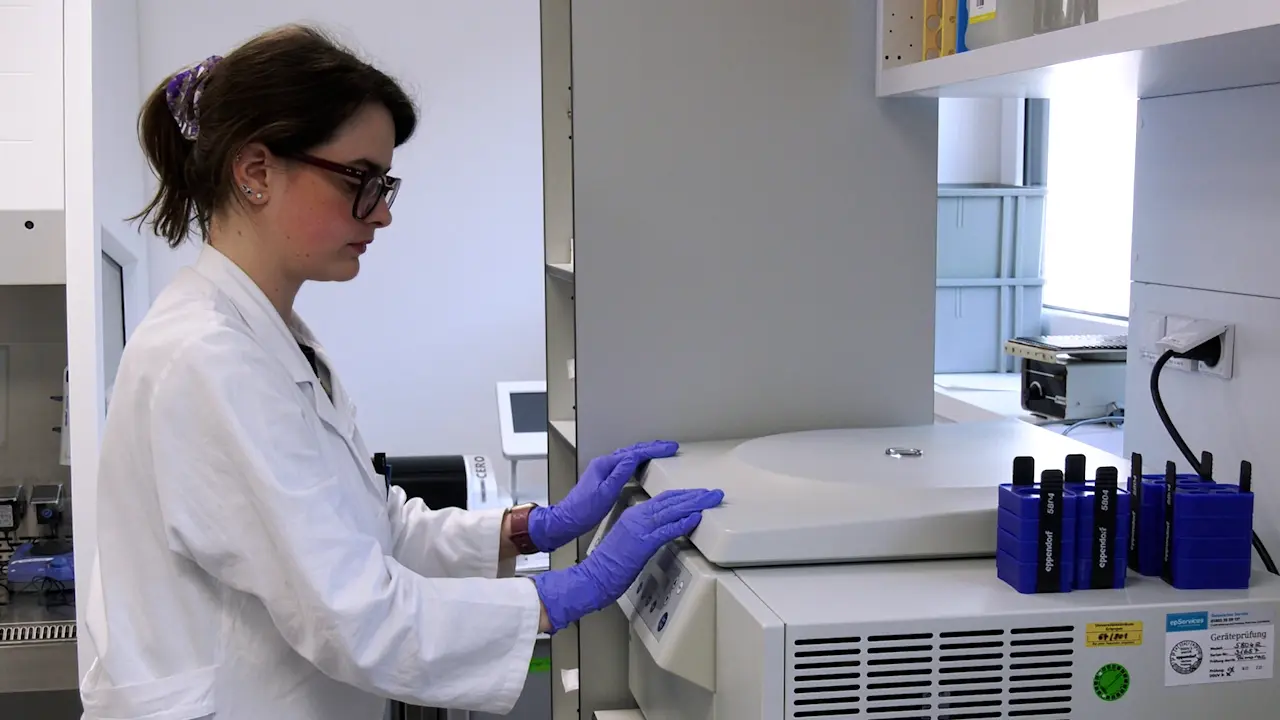 Analysis of Human T Cell Activity in an Allogeneic Co-Culture Setting of Pre-Treated Tumor Cells