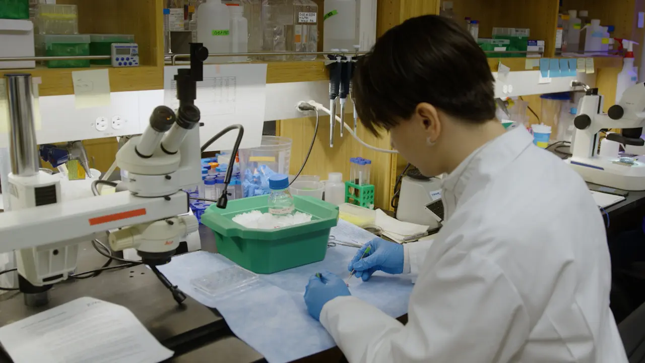 Cryosectioning and Immunostaining Mouse Inner Ear Tissue: From Embryonic to Adult Stages