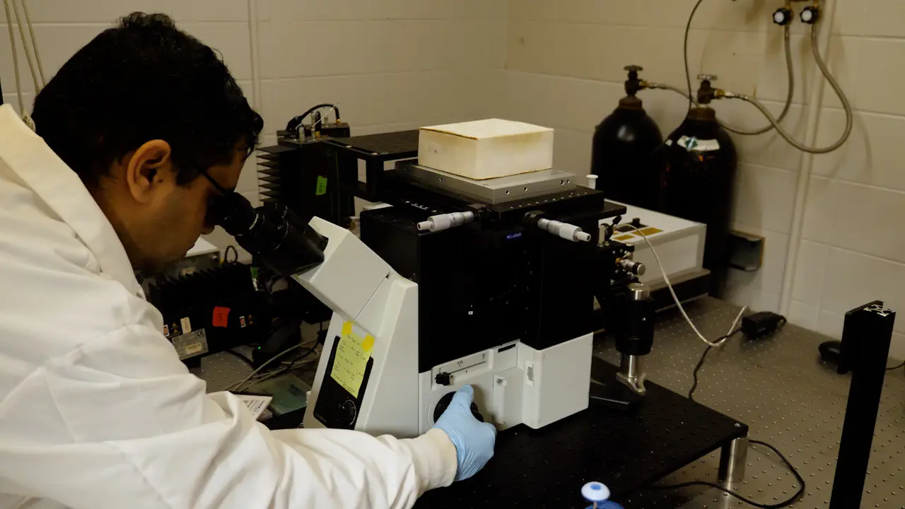 Time-Resolved Fluorescence Anisotropy from Single Molecules for Characterizing Local Flexibility in Biomolecules