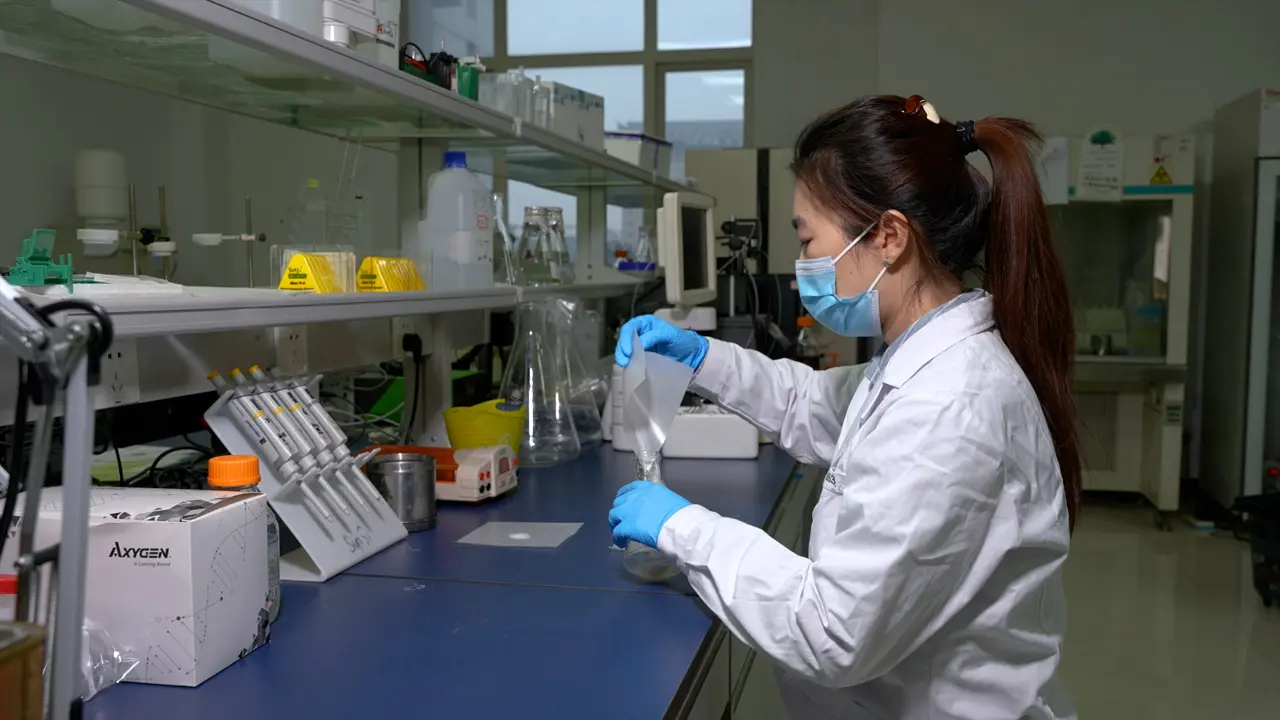 Development and Assessment of Intracellular Infection Models for <i>Staphylococcus aureus</i>