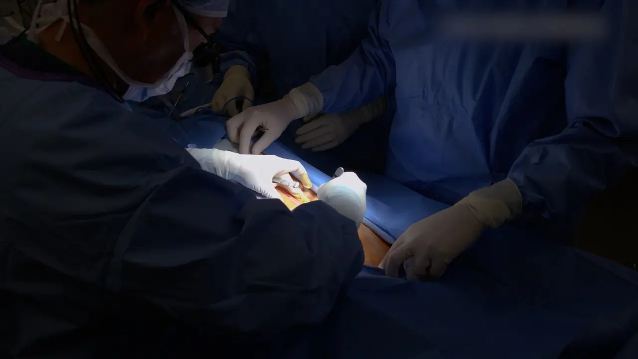 Kidney Procurement in a Preclinical Large Animal Model