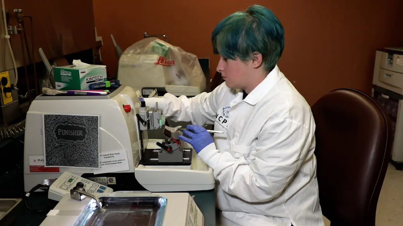 Iterative Bleaching Extends Multiplicity with Use of Staining Automation for Core Facilities