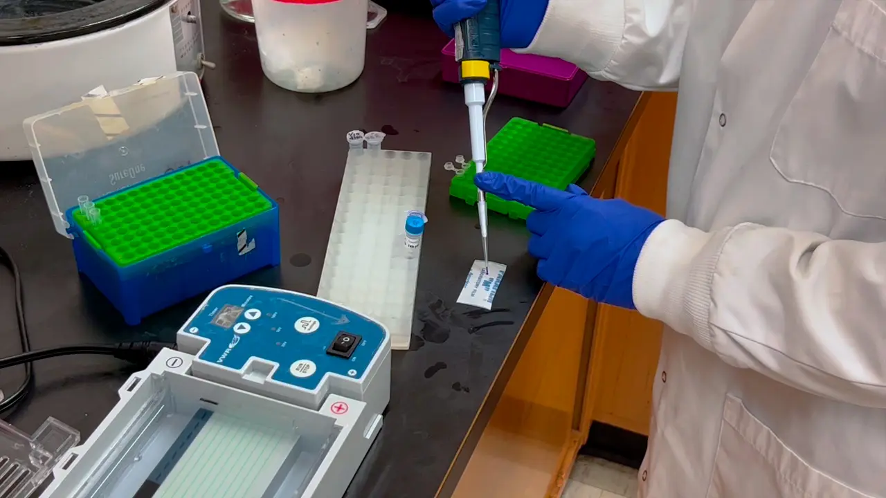 Use of <em>In Vivo</em> Assembly for High-efficiency Plasmid Construction